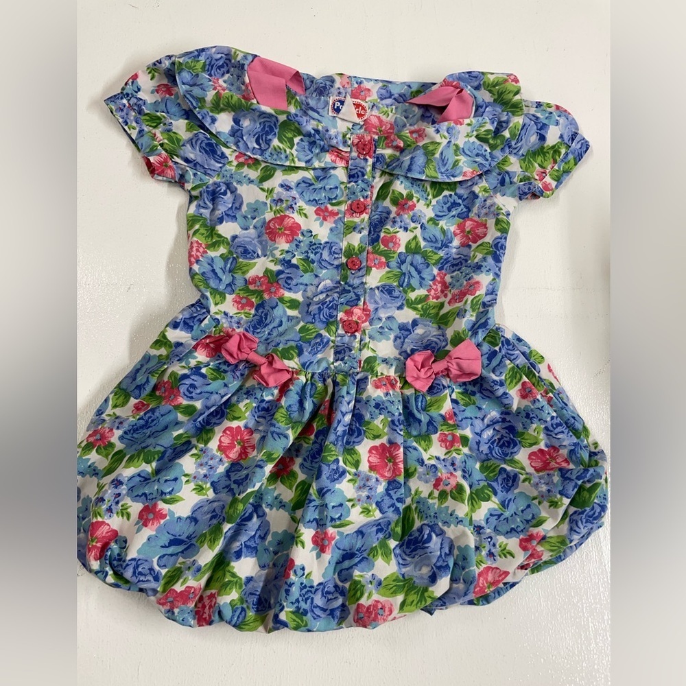 Floral vintage  Blue and Pink Dress